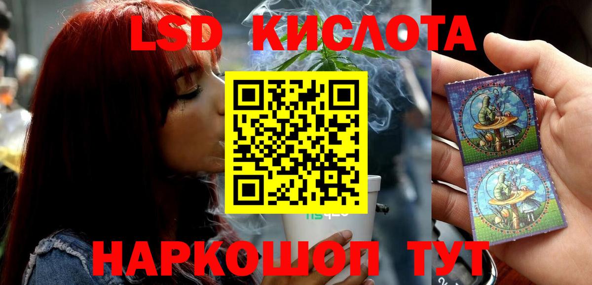 Галлюциногенные грибы Малгобек