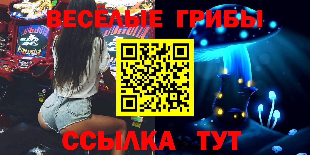 Псилоцибиновые грибы Psilocybine cubensis  Вход с VPN  Малгобек 